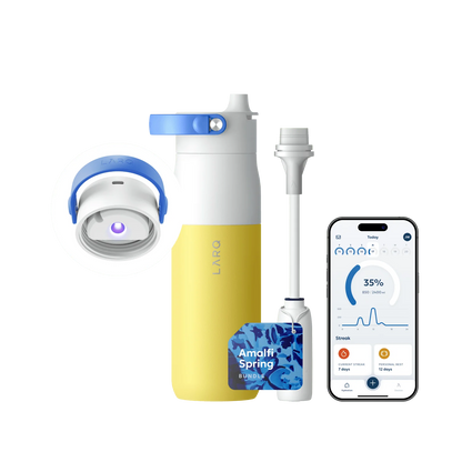 LARQ Bottle PureVis™ 2